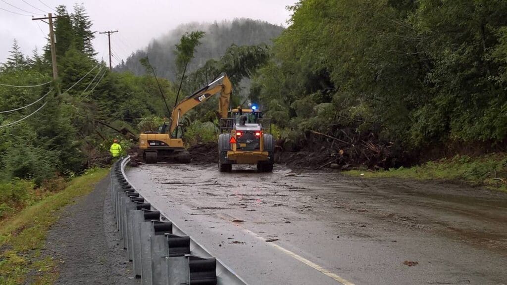 Tree fallen on a road in Sitka, Alaska