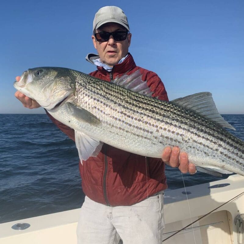 Captain Tom with a Striped Bass in New Jersey