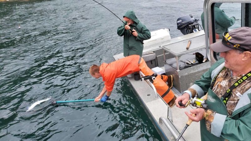 An Angling Unlimited crew member nets a fish in Sitka, Alaska
