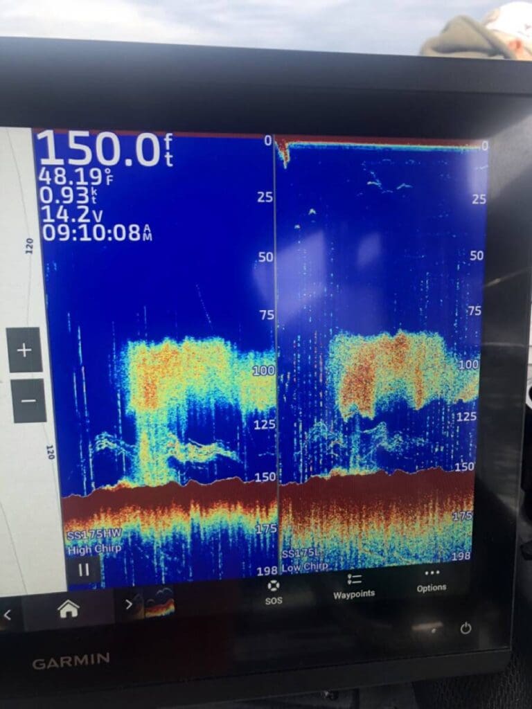 Depth finder on an Angling Unlimited boat