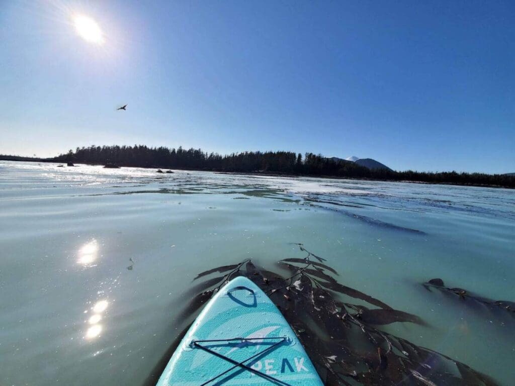 Paddle boarding in Sitka, Alaska