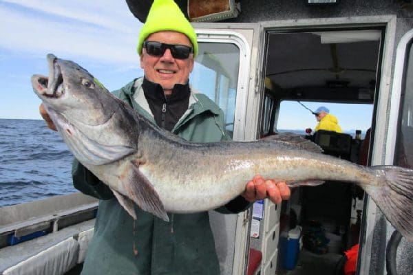 A man wearing a neon yellow hat holds a large black cod/ sablefish with both